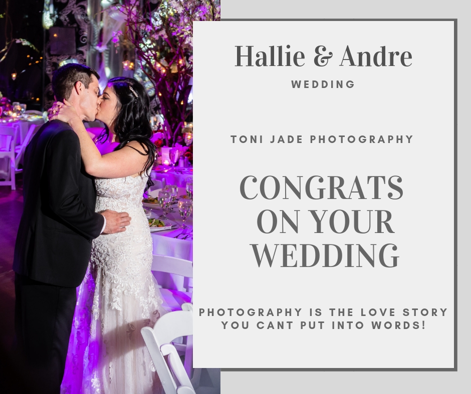 Hallie and Andre Wedding Cover